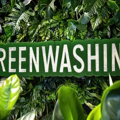 Zielona ściana z napisem "GREENWASHING" na tle bujnej roślinności. Uważaj na firmy udające ekologiczną modę.